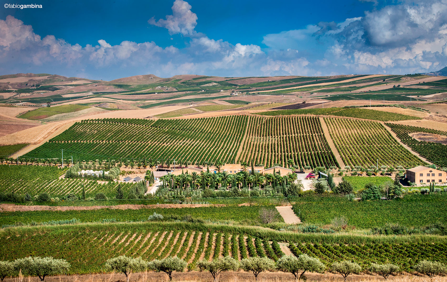 Photo-vignoble-Donnafugata