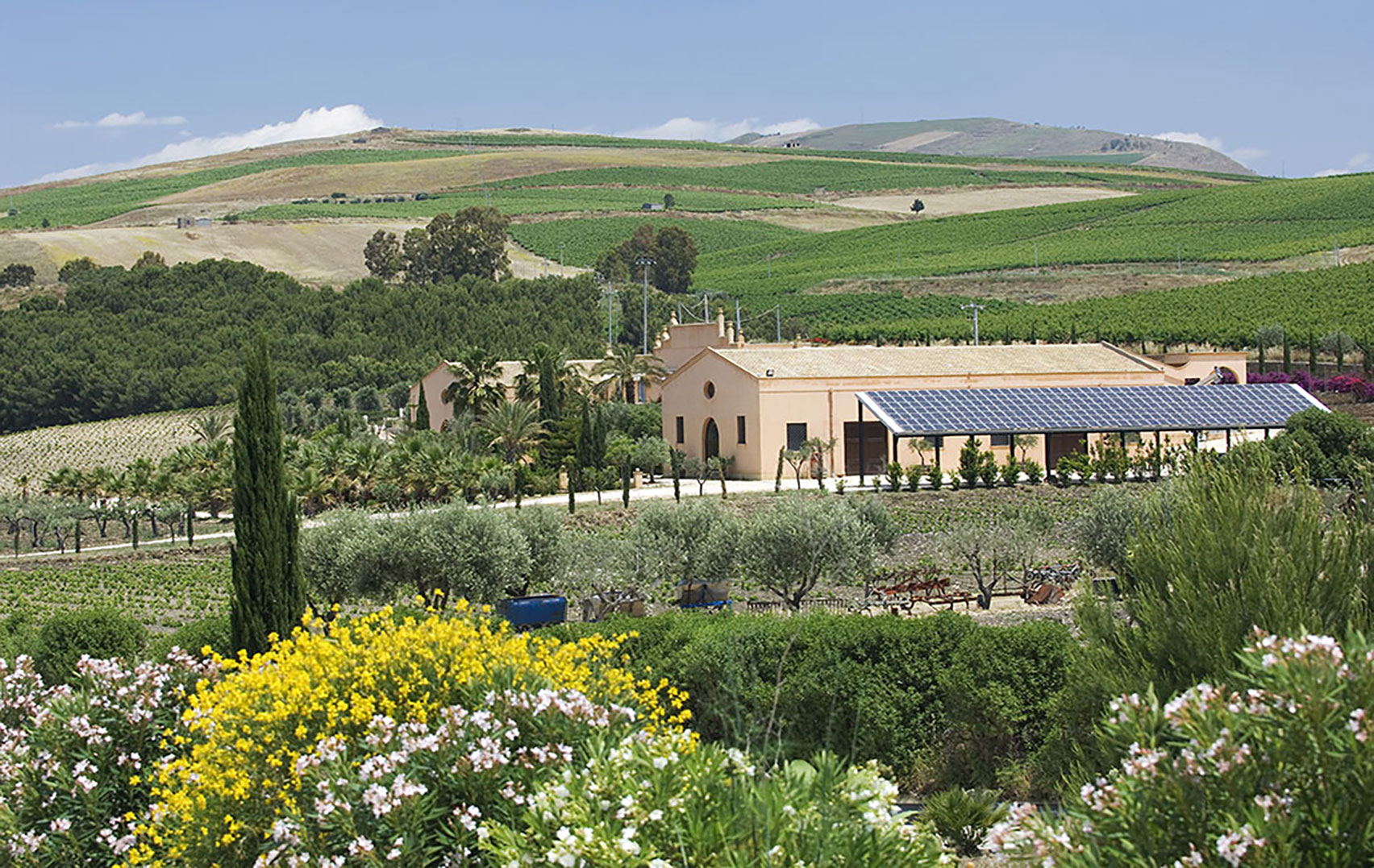 Photo-vignoble2-Donnafugata