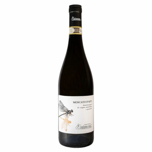 Moscato d'Asti 2023 - CANTAMESSA - vin blanc doux et pétillant