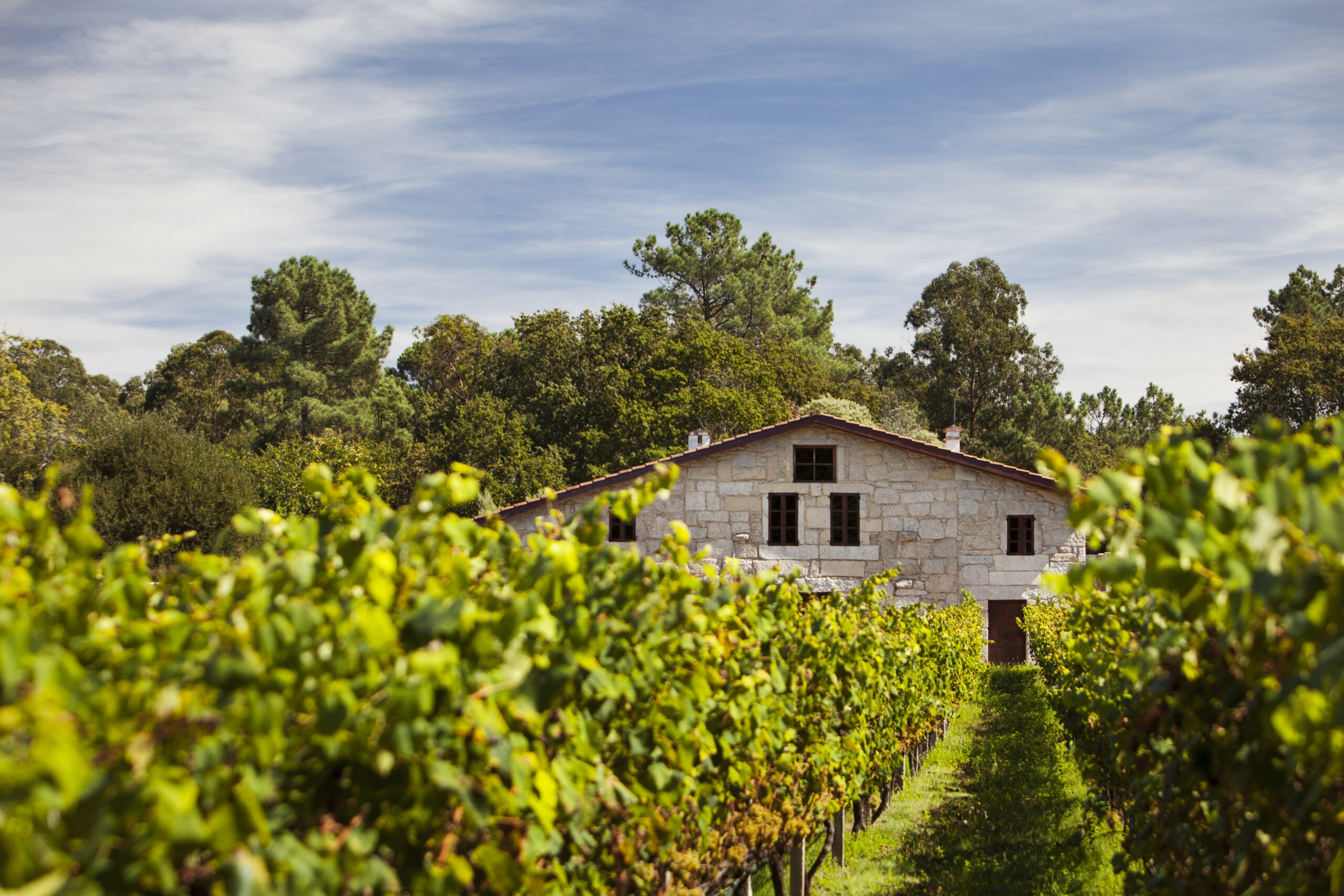 Photo domaine Corisca